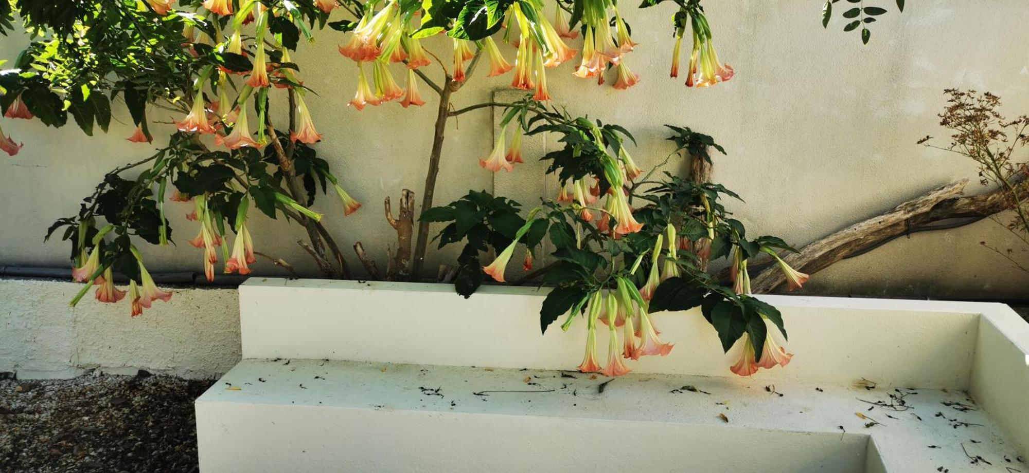 Maison Magnolia Marcorignan 외부 사진